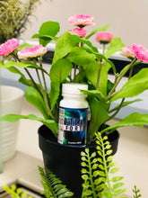 Load image into Gallery viewer, Vital Forte